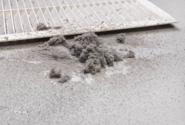 Best Affordable Air Duct Cleaning  in Bliss Corner, MA