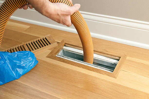 Best Professional Duct Cleaning Services  in Bliss Corner, MA