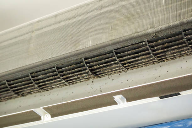 Best Best Air Duct Cleaning Company  in Bliss Corner, MA