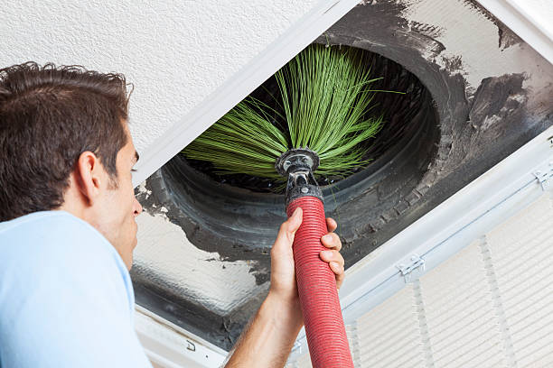 Best Ventilation Cleaning Services  in Bliss Corner, MA